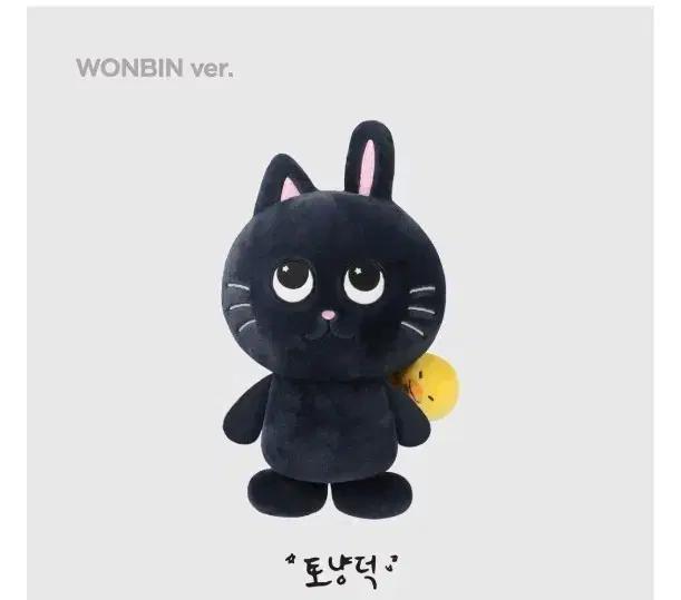 라이즈 40cm 토냥덕
