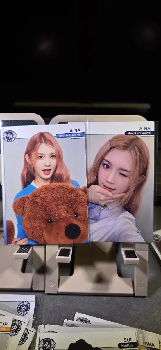하투하 에이나 포토카드 2장 일괄