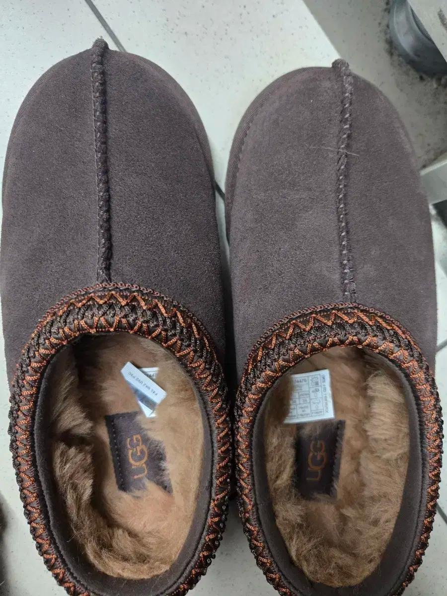 어그 타스만 번트시더 240