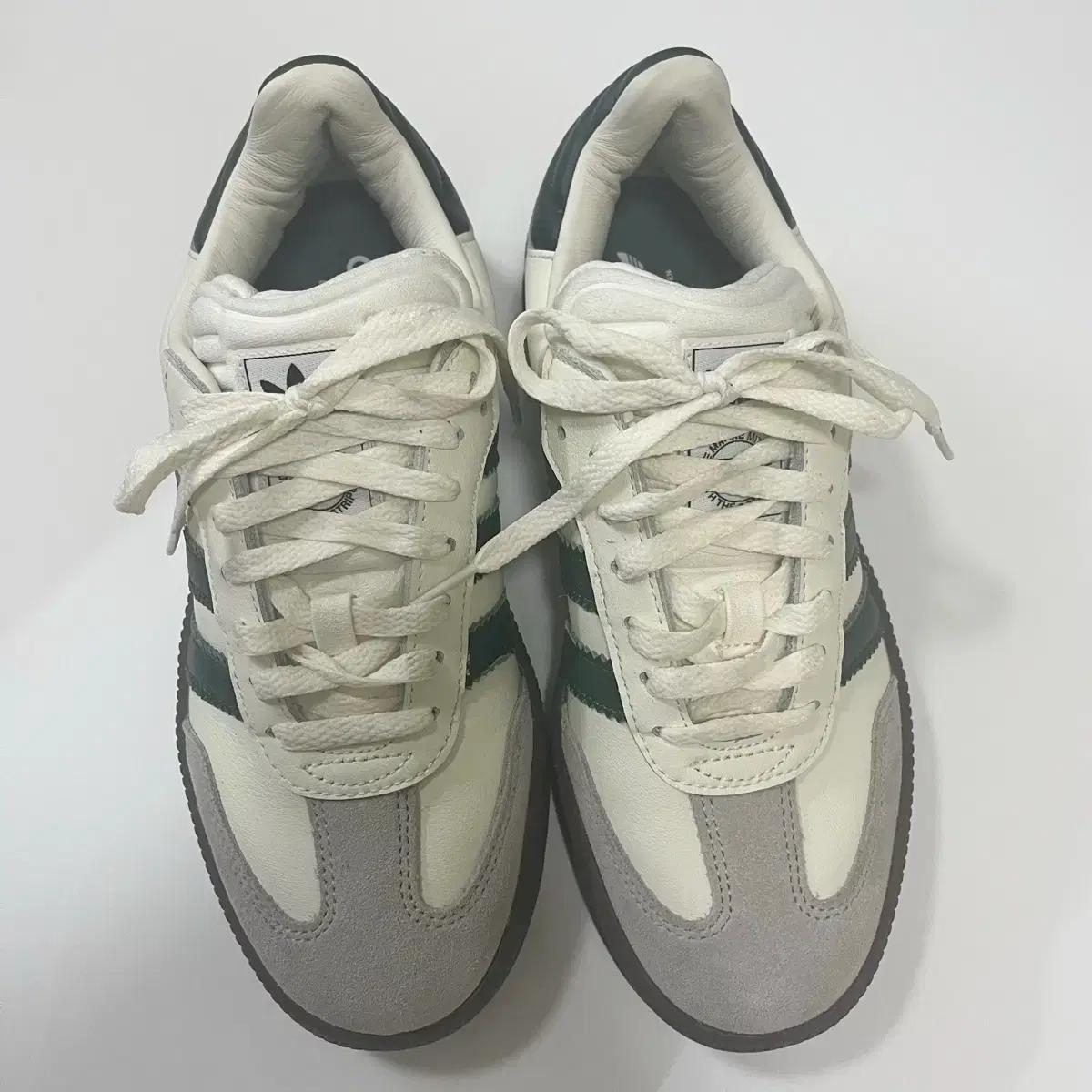 아디다스 신발 삼바 xlg 245mm