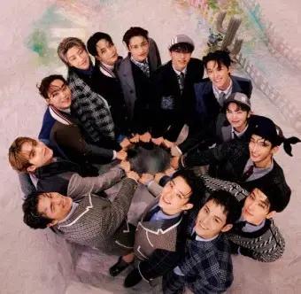 세븐틴 탈덕 처분