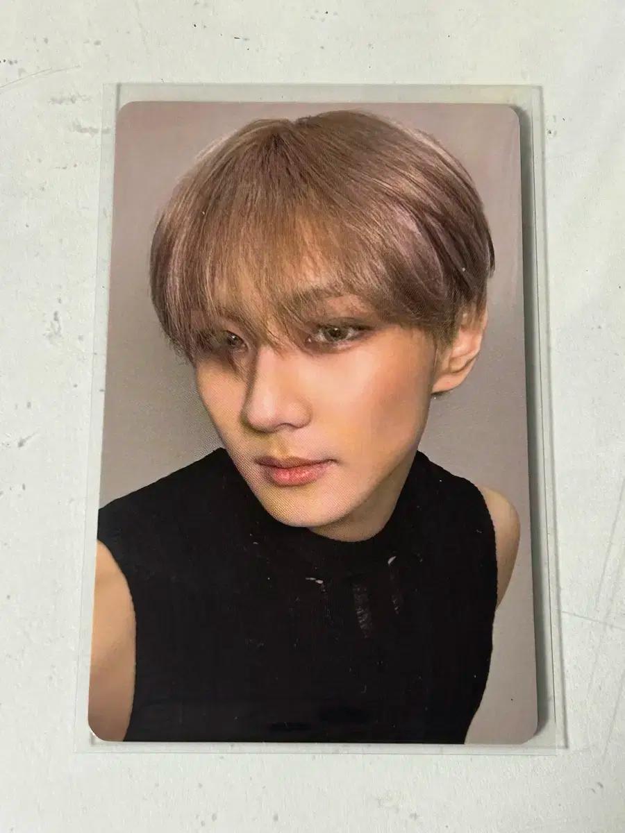 엔하이픈 정원 이즈위 포카 양도