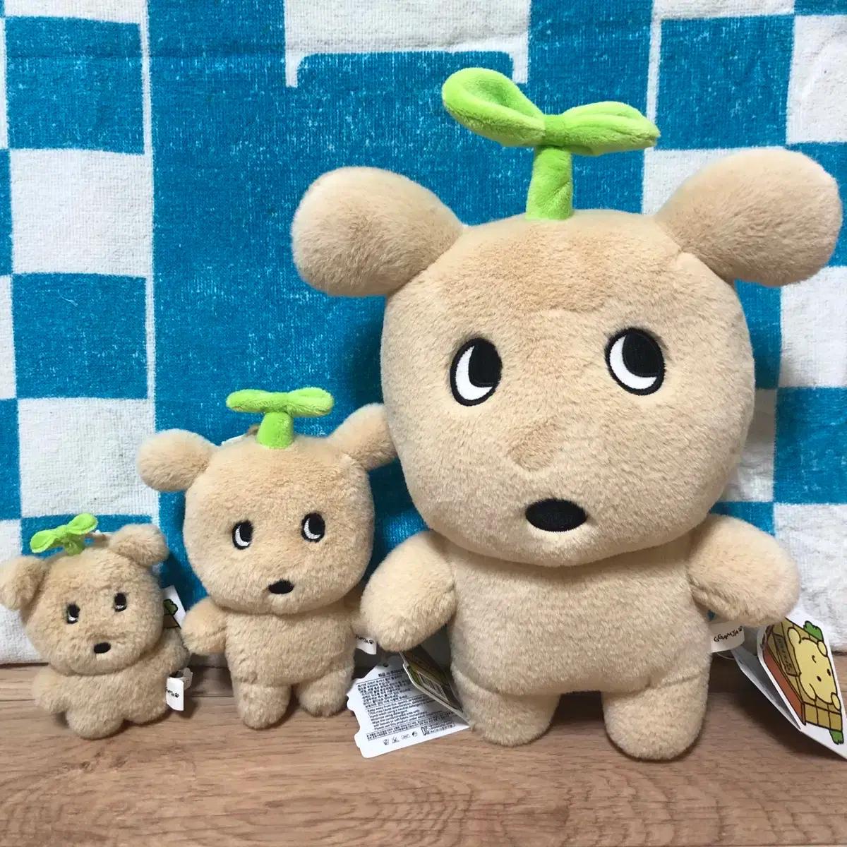 새싹깜자 중형인형, 키링, 미니키링 3종세트