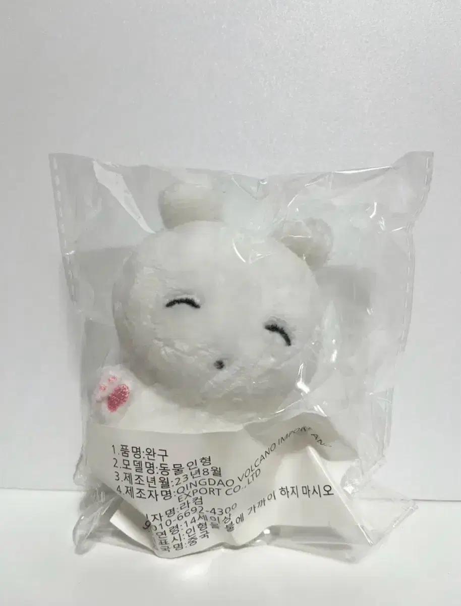 르세라핌 카즈하 즈꼼