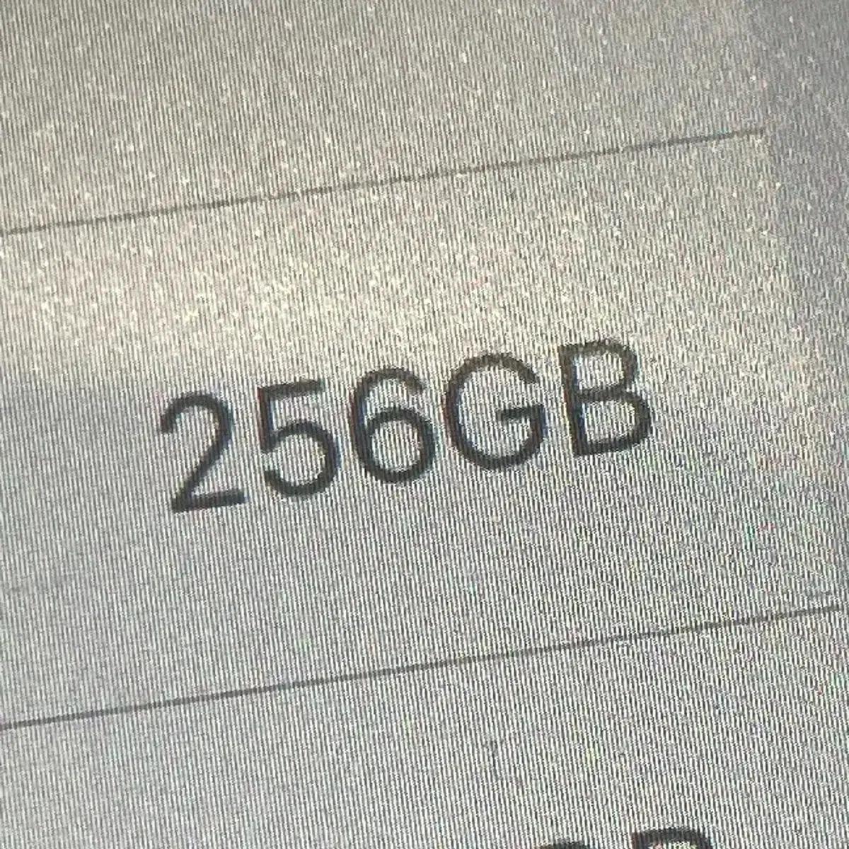 아이패드 프로 5세대 실버 12.9 256GB + 애플 펜슬