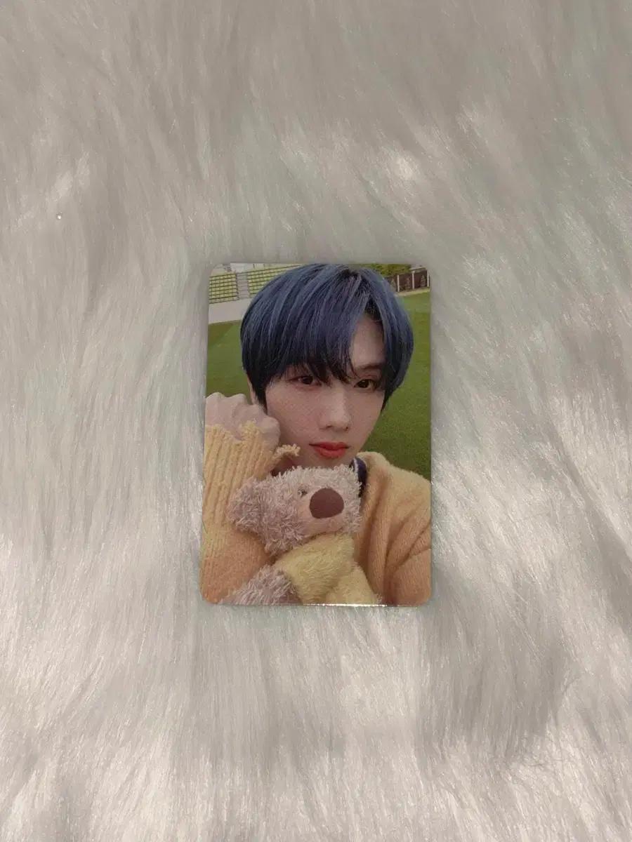 nctdream엔시티드림 지성 istj잇티제 벤딩머신 버전 앨범포카