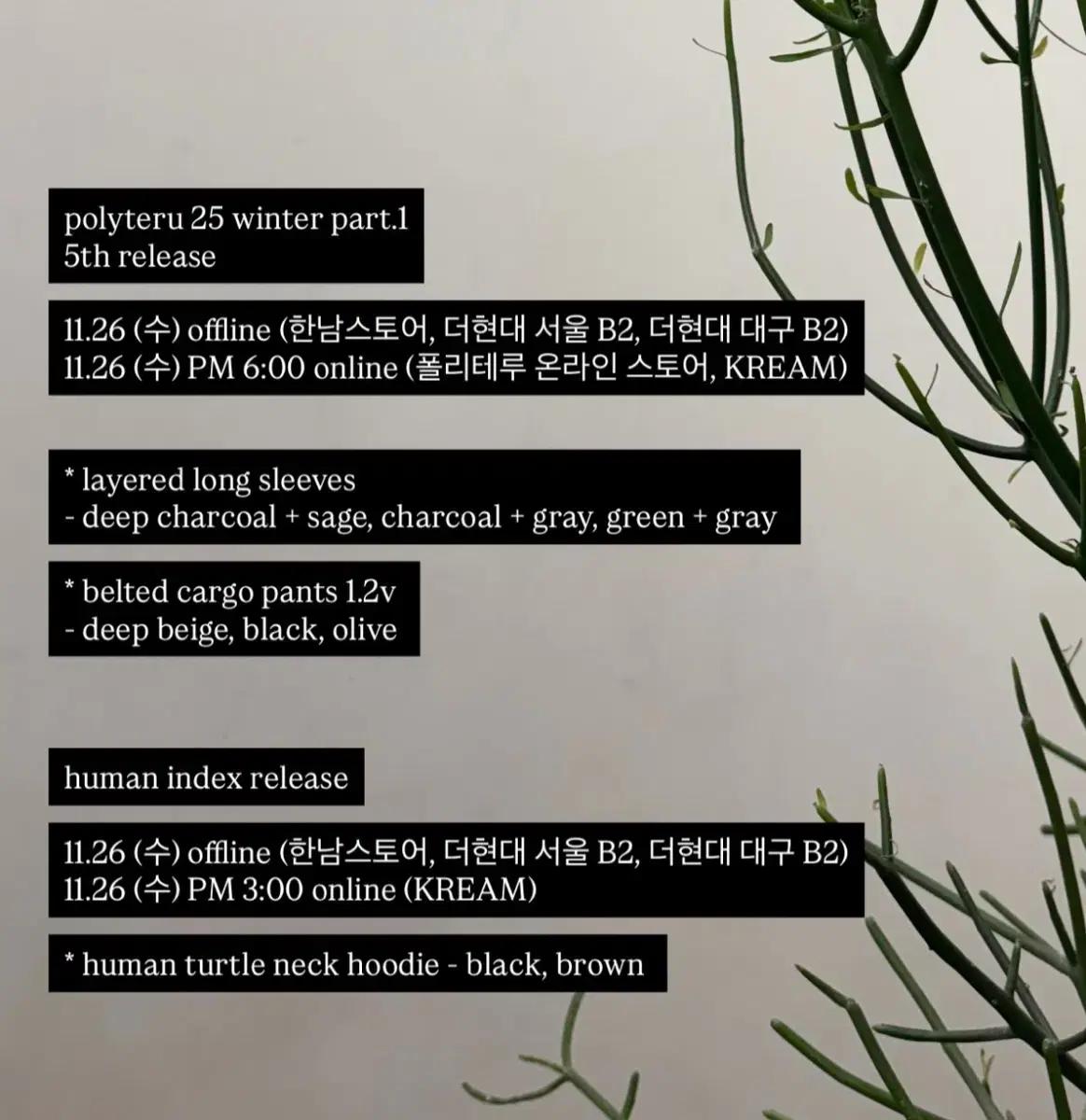 11.26 폴리테루 정가 대리구매