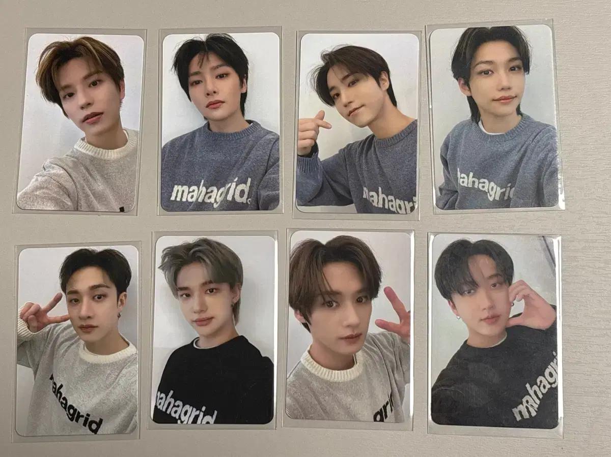 스트레이키즈 스키즈 마하그리드 포카 일괄