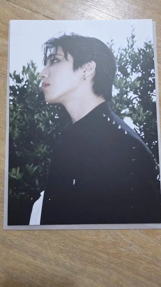 Stray Kids Han 두잇 포토보드  한