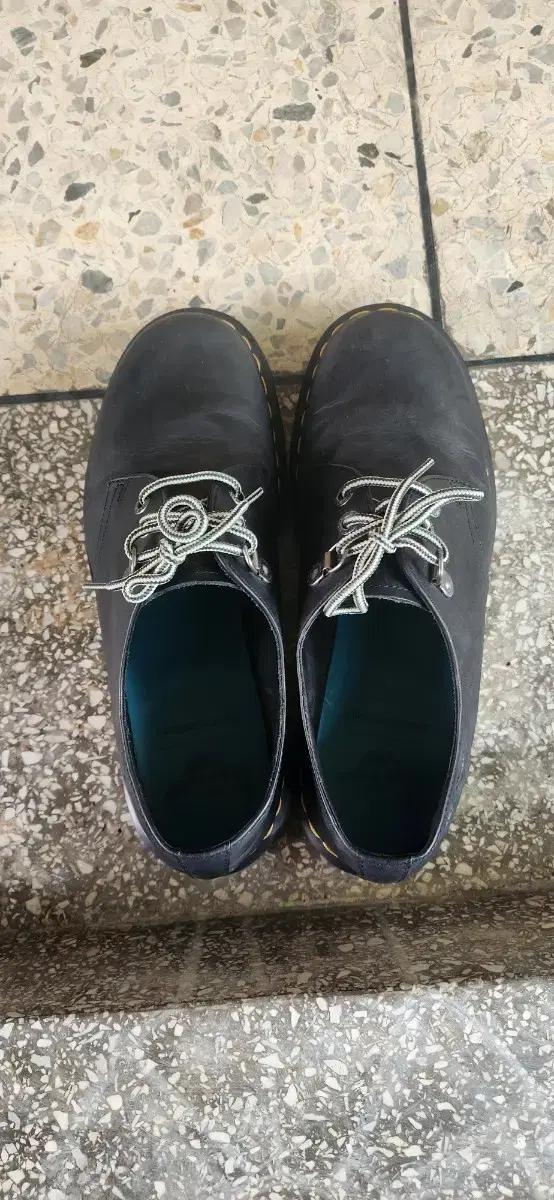 닥터마틴 디네댓 270