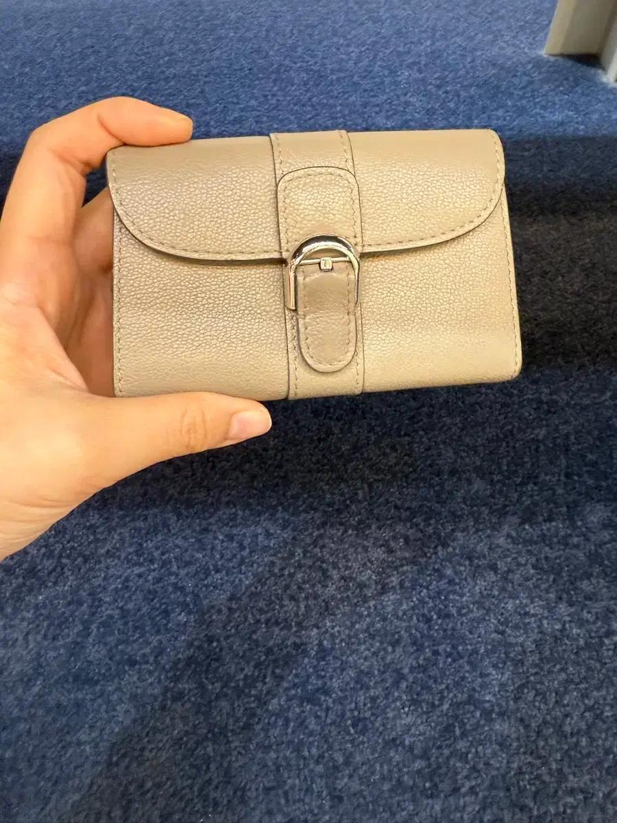 델보 브리앙 카드지갑