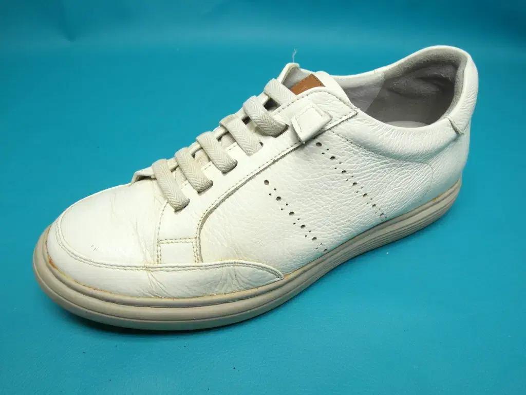 250/sb9-568/탠디 미셸 남성 스니커즈 캐쥬얼화/구제특별시