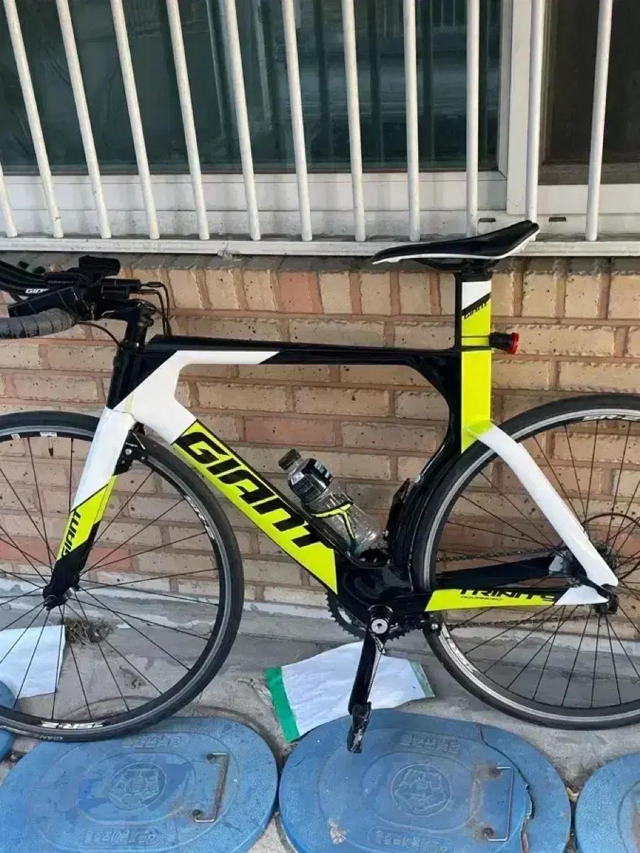 자이언트 트리니티 풀카본 tt차 급처 판매