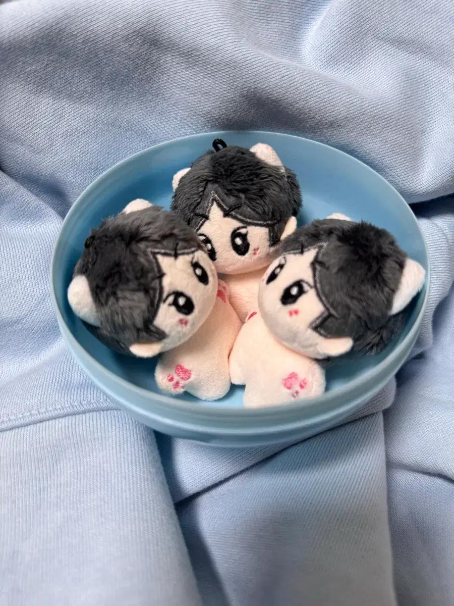 두개남음)엔하이픈 정원 인형 리틀원 미니원 5cm 양도