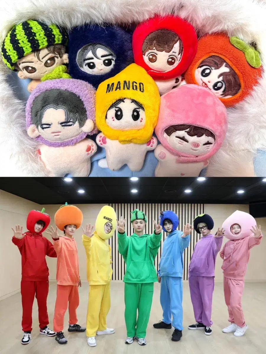 [상점소개용]엔하이픈 인형 chamber 5(결제 X)