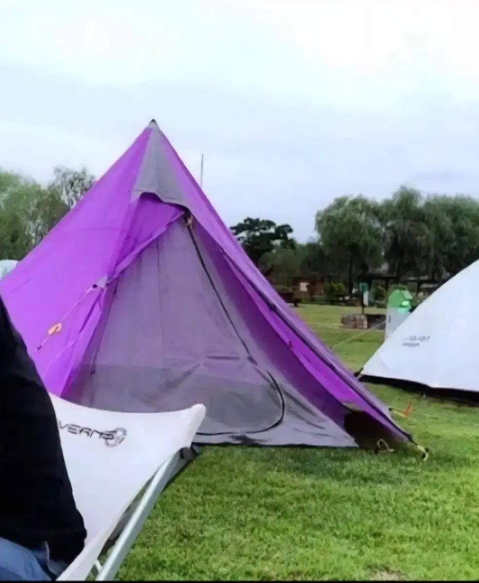 도플갱어 퍼플 캠핑 텐트