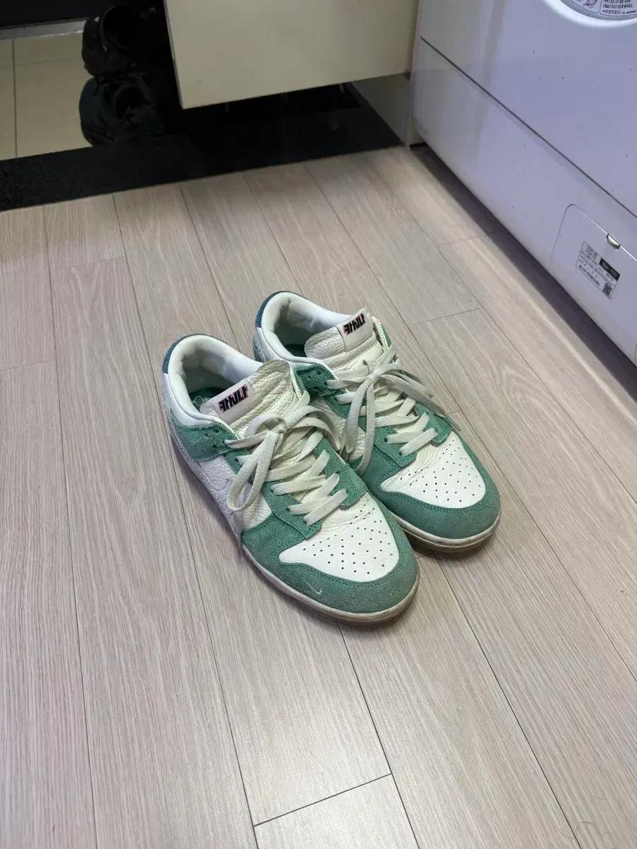 나이키 덩크 로우 카시나 넵튠 그린 275