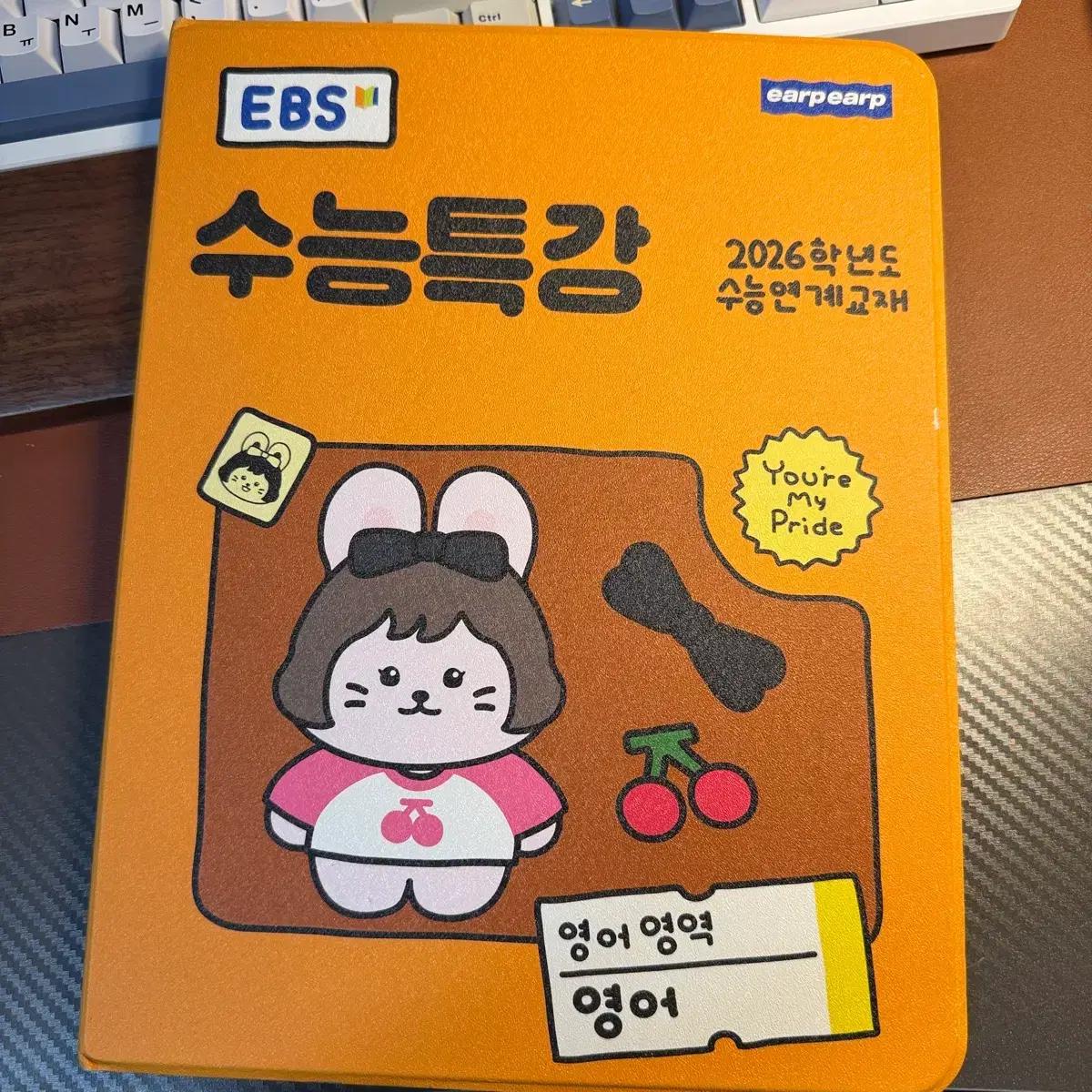 어프어프 수능특강 영어 아이패드 프로 M4 13인치용 케이스