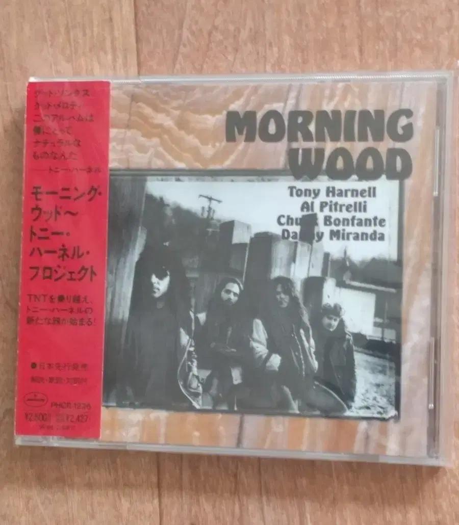 morning wood cd tnt 보컬 일본반