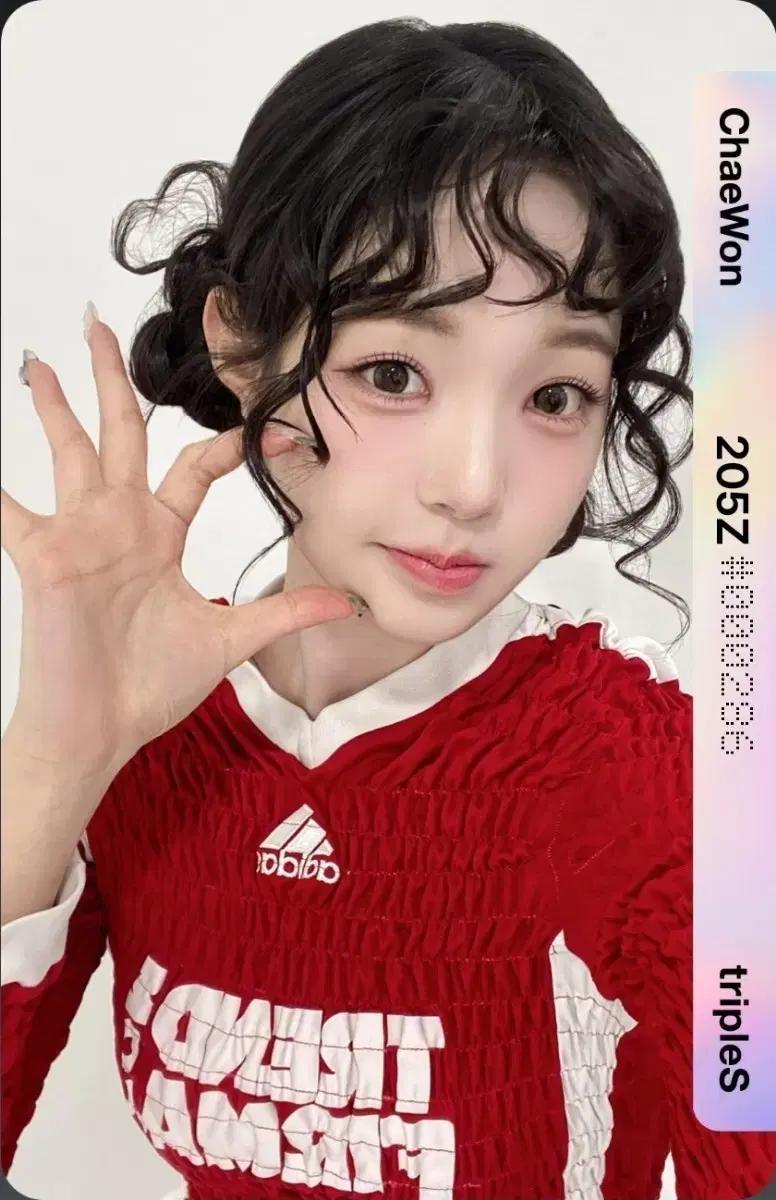 트리플에스 채원 E205 sco