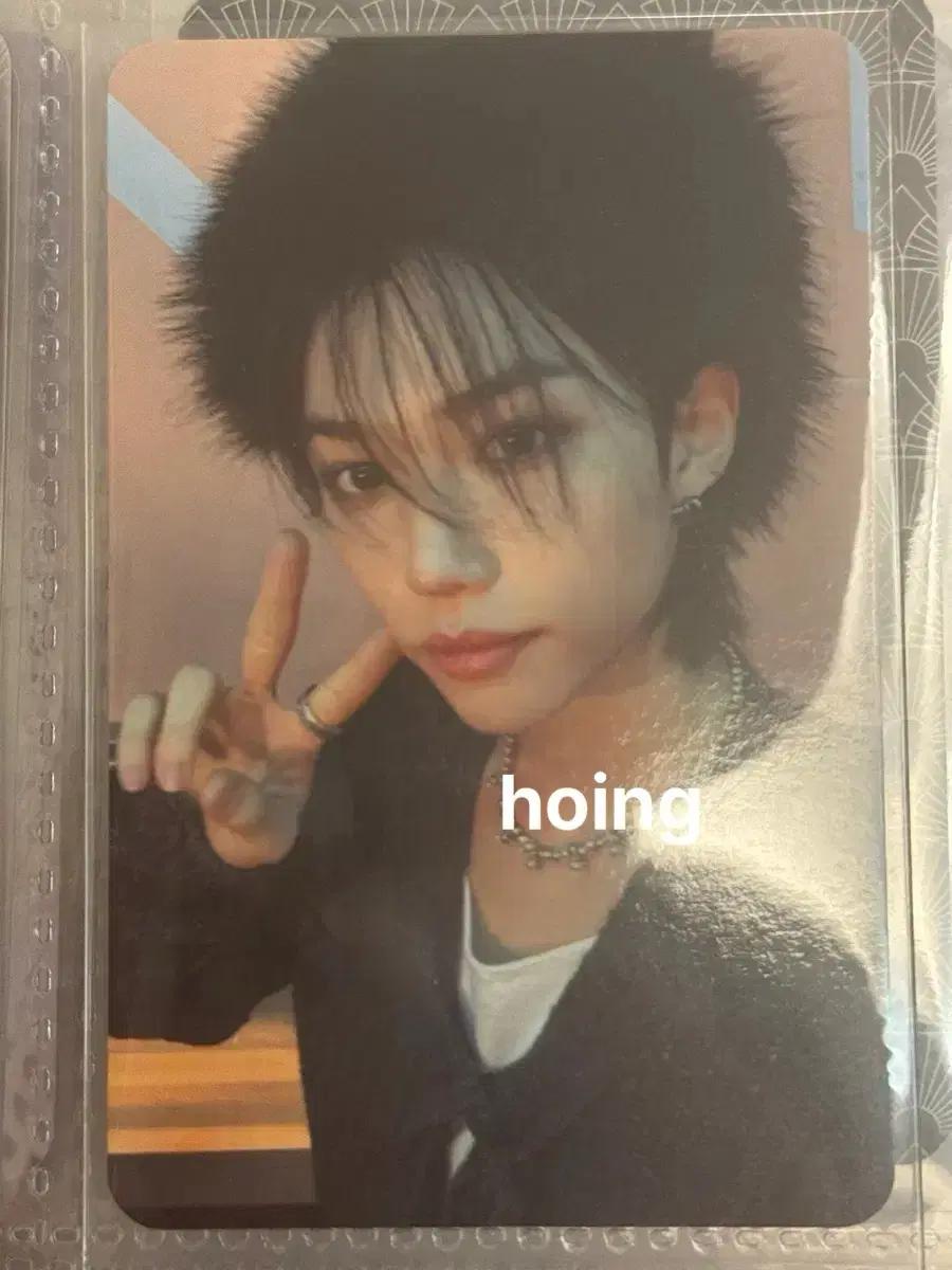 스키즈 파이브스타 필릭스 앨포