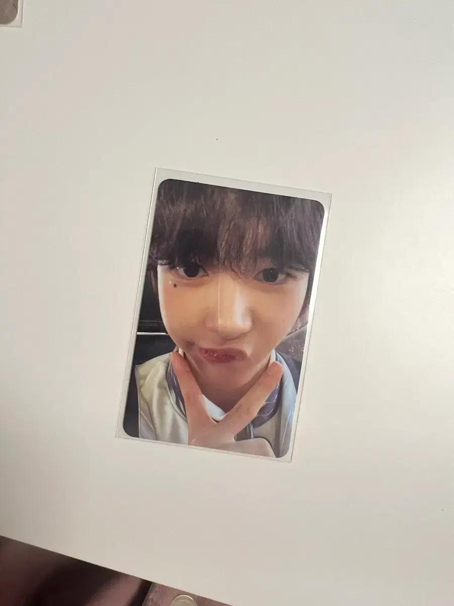 엔시티위시 료 컬러 wish 포카 일괄 판매