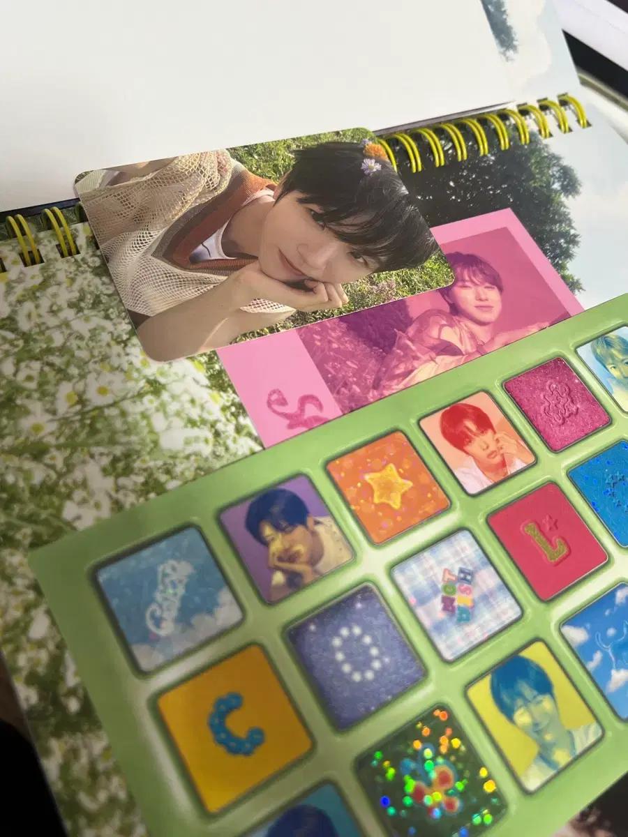 엔시티 위시 컬러 앨범 NCT wish color Album