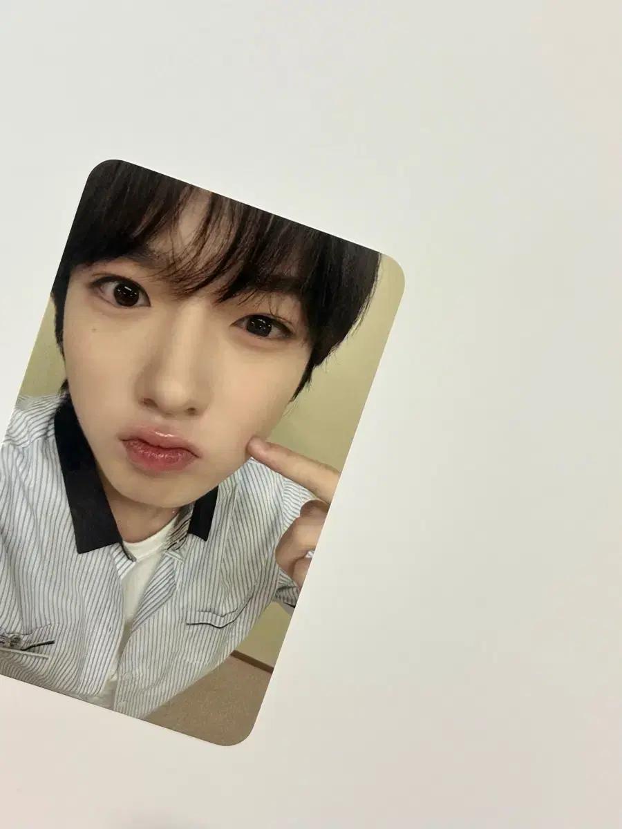 급처 nct wish 엔시티 위시 에버랜드 에버위시 2차 미션포카 사쿠야