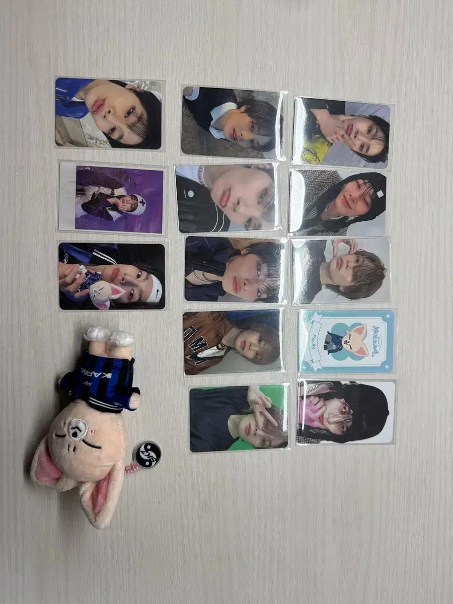 (뒷장있음) 스키즈 포카