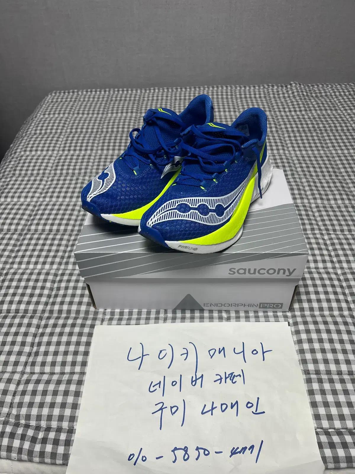 265 써코니 엔돌핀 프로 4 라피스 시트론