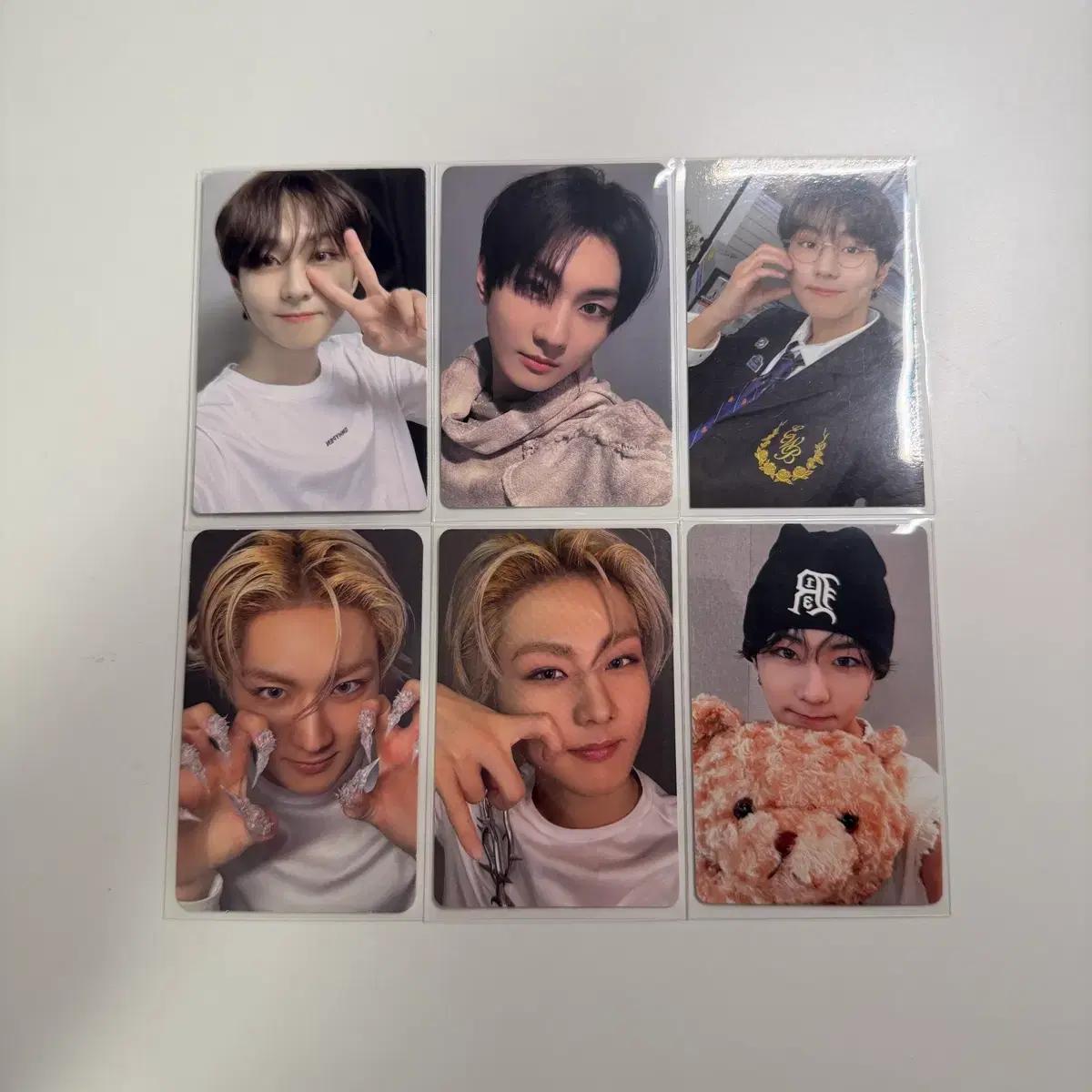 엔하이픈 정원 로맨스 언톨드 디자이어 이즈위 생일 포카 큐큐뮤직 페이트콘