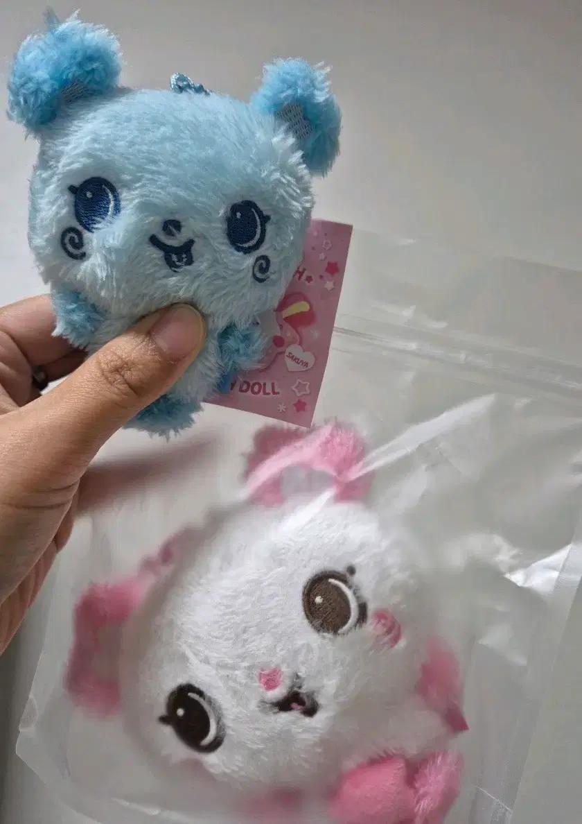 엔시티위시 위시돌 팡이 및 블루팡이 일괄