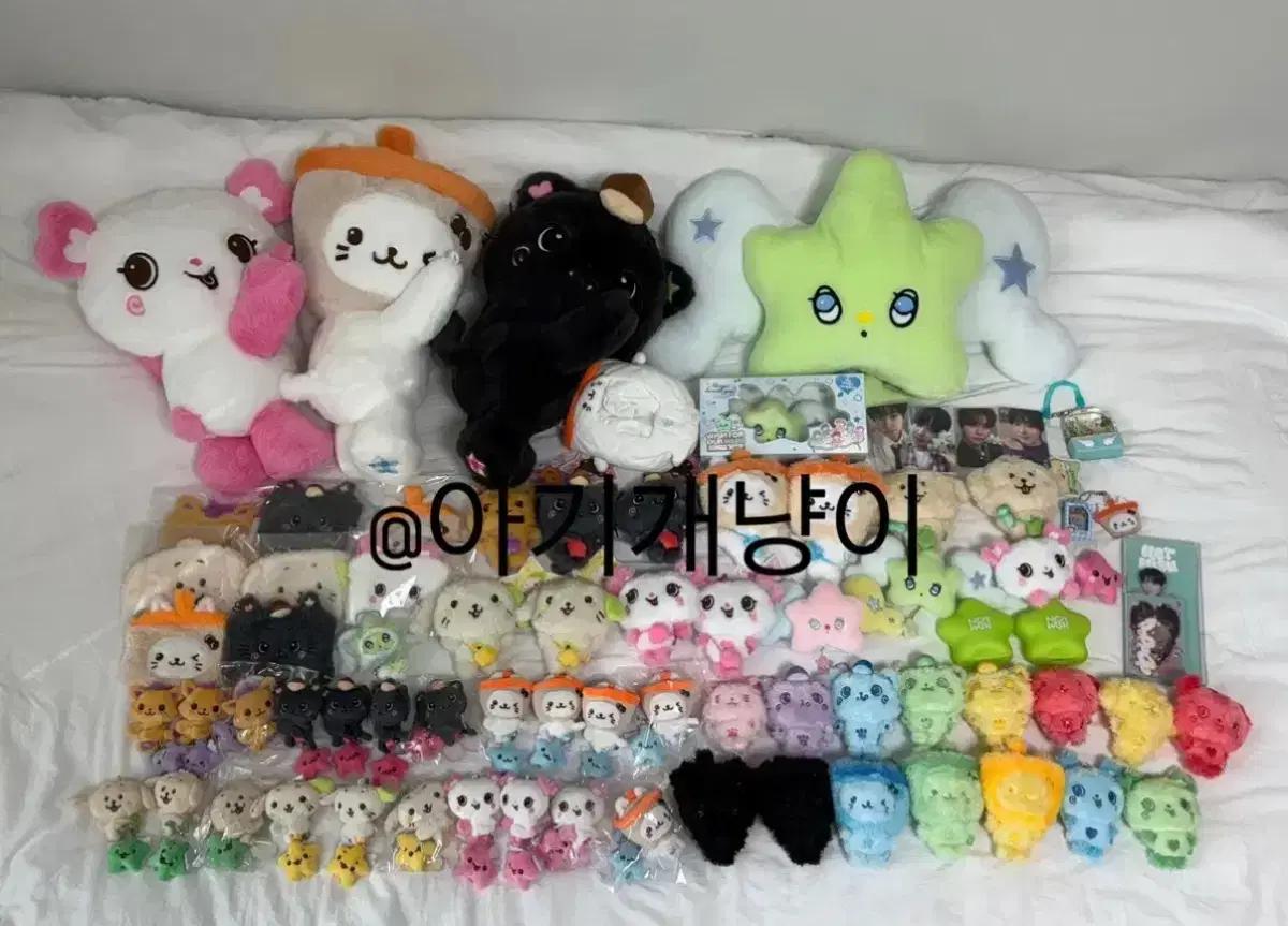 엔시티 위시 인형 대량 일괄 양도판매