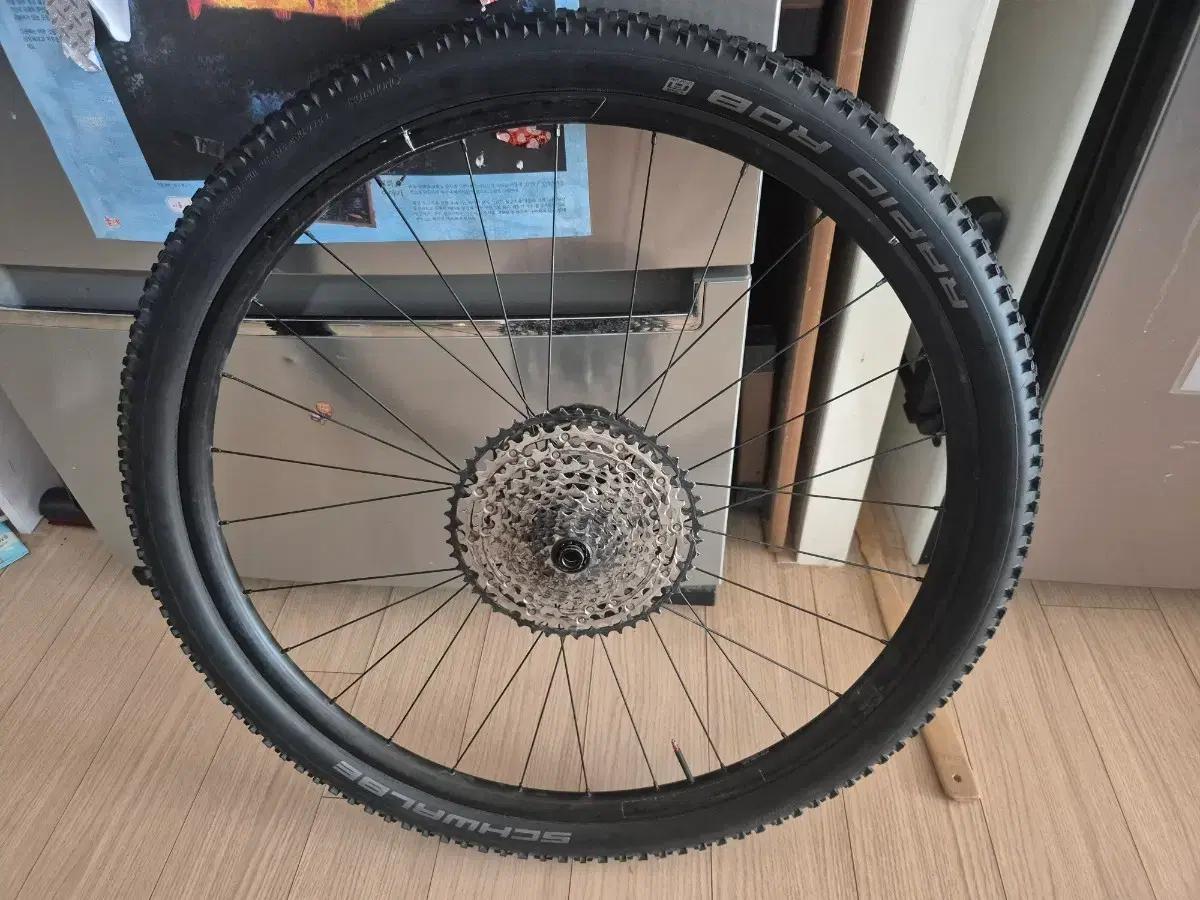 본트래거 코비 부스트 29인치 휠 스프라켓 타이어포합 mtb휠