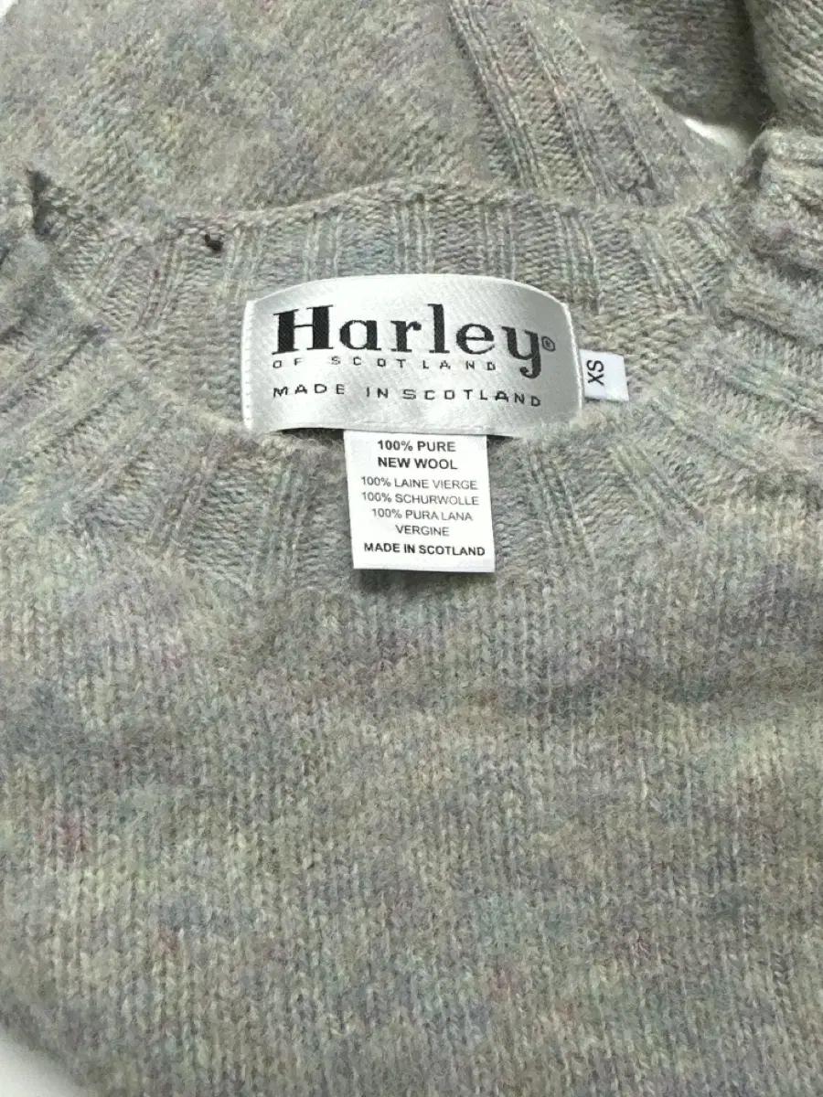 할리오브스코틀랜드 쉐기독 갤럭시 xs