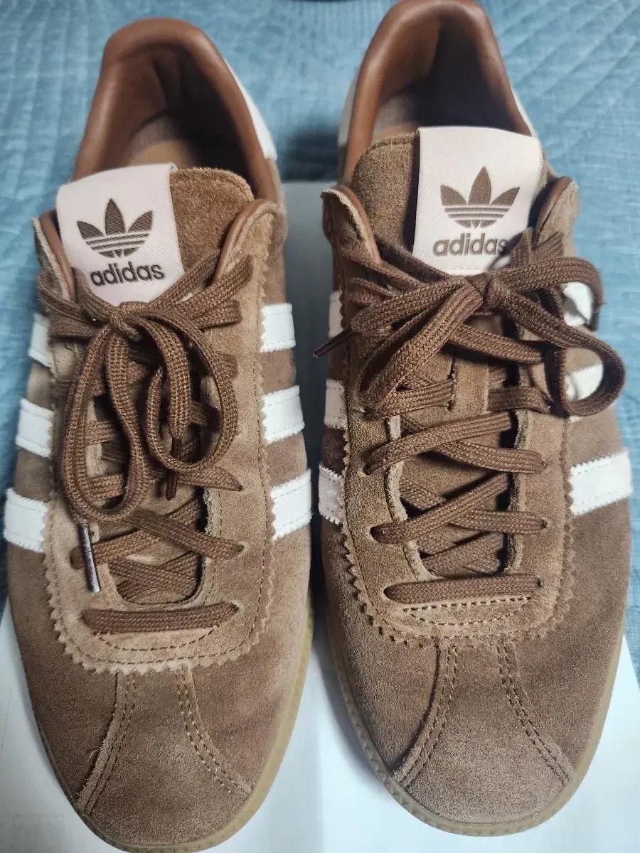 아디다스 버뮤다 프리러스 브라운