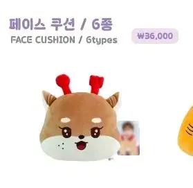 ONF 온앤오프 온꼬미즈 효진 노얌이 페이스 쿠션 양도합니다