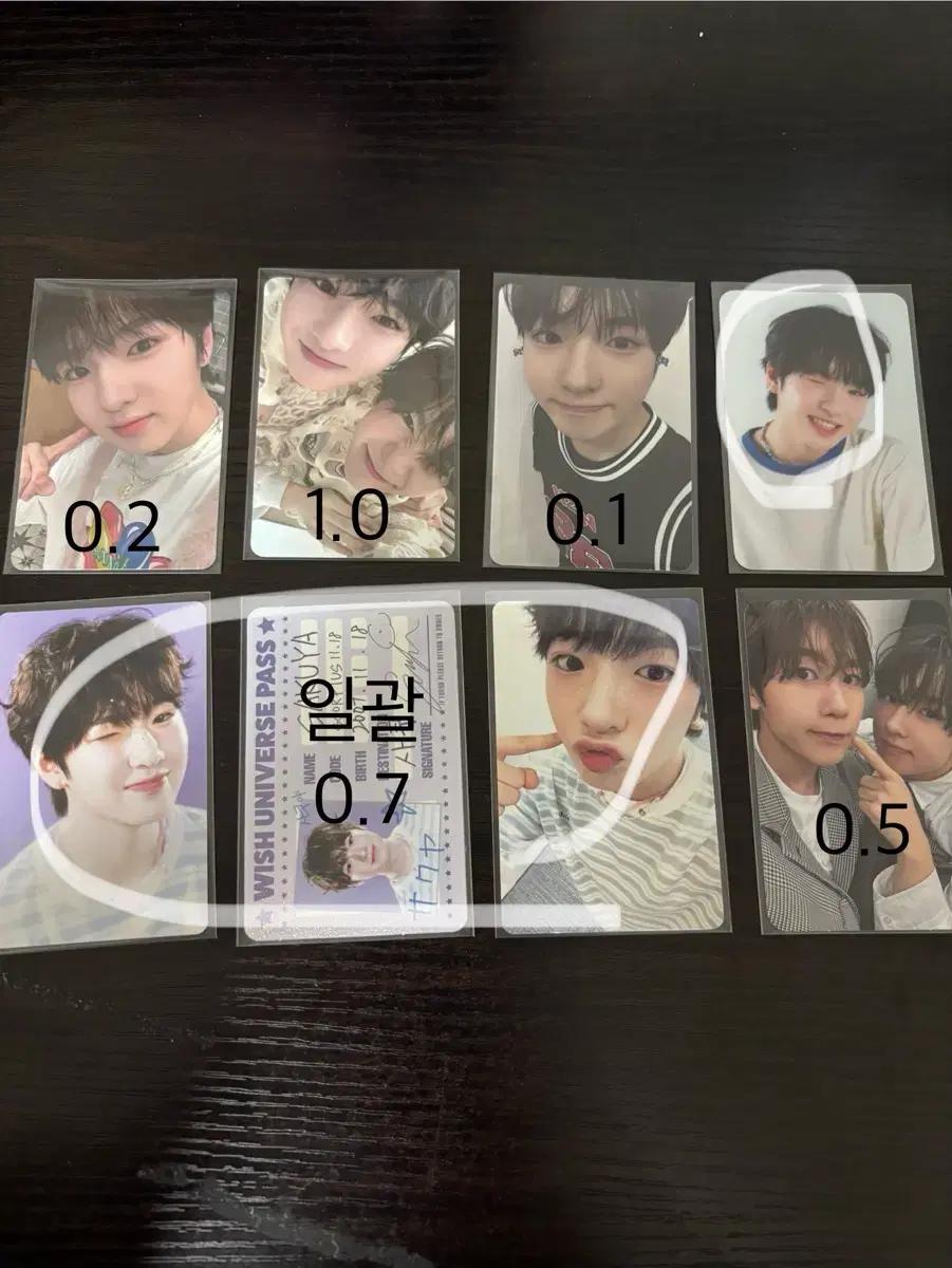 엔시티 위시 사쿠야 포카