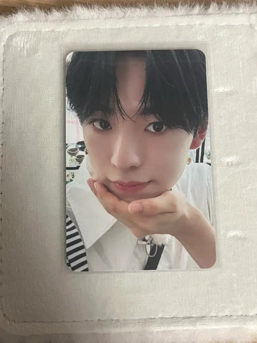 엔시티 위시 유우시 스테디 애플뮤직