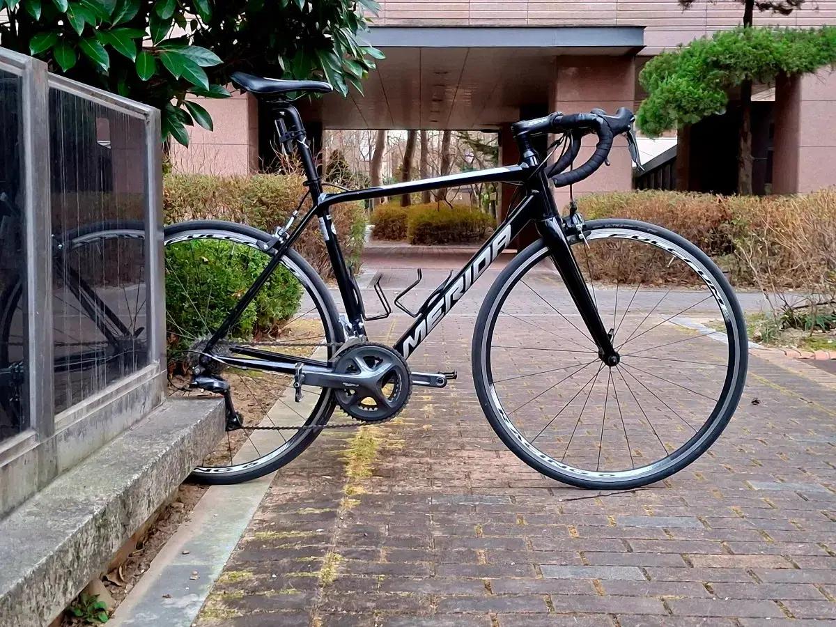 메리다 스컬트라 100 로드자전거 급처