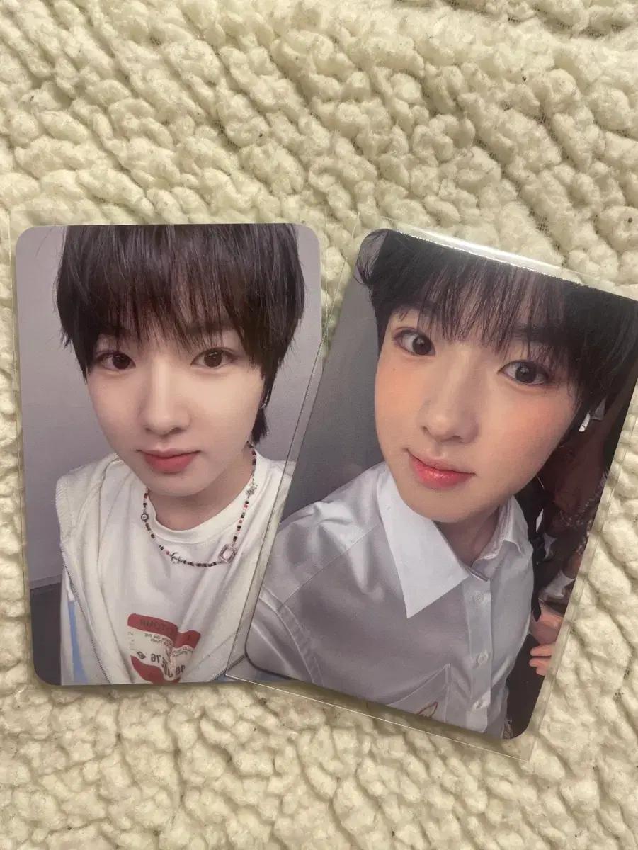 엔시티위시사쿠야포카일괄판매미공포