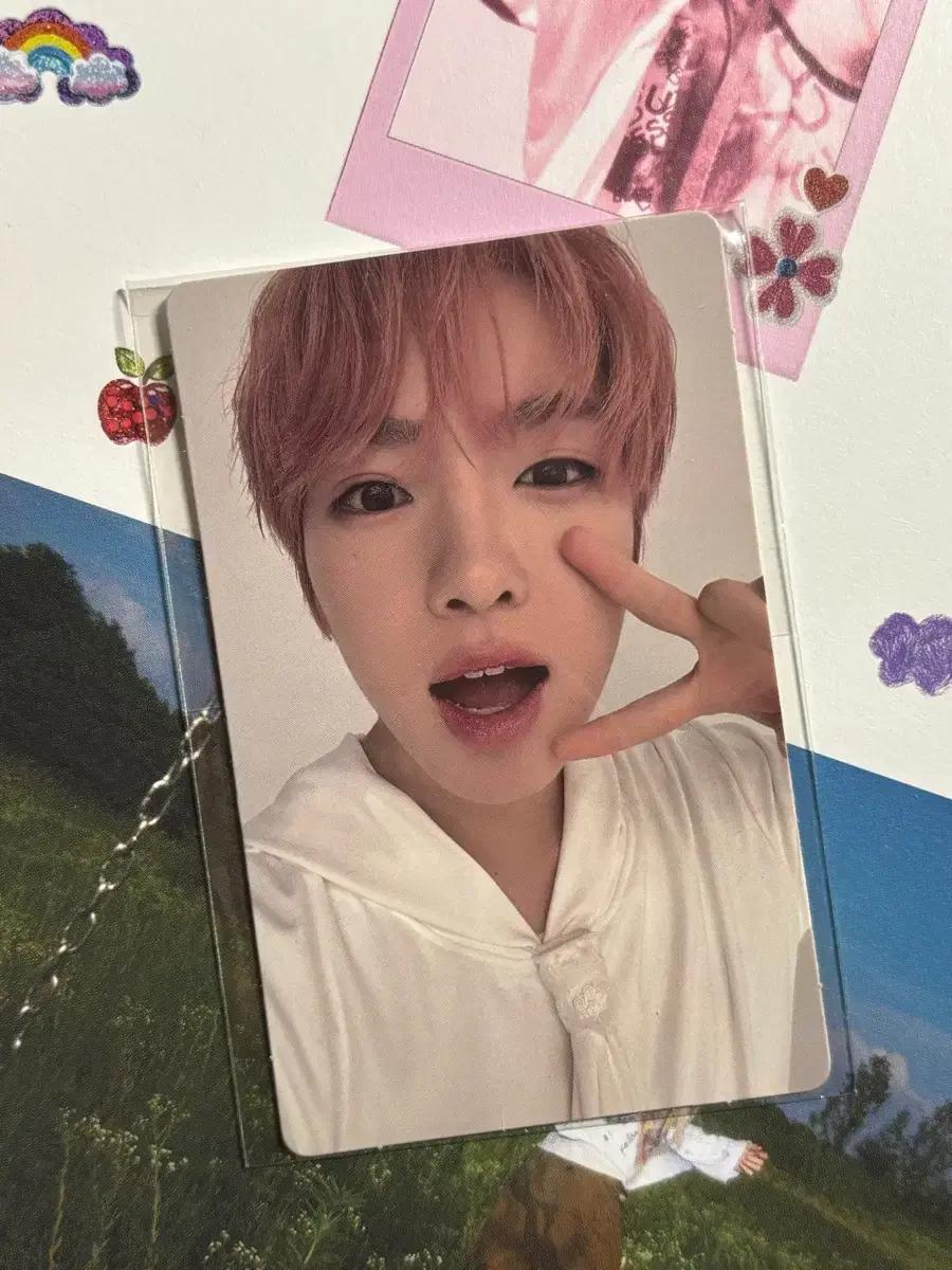 nct wish 사쿠야 컬러 포카