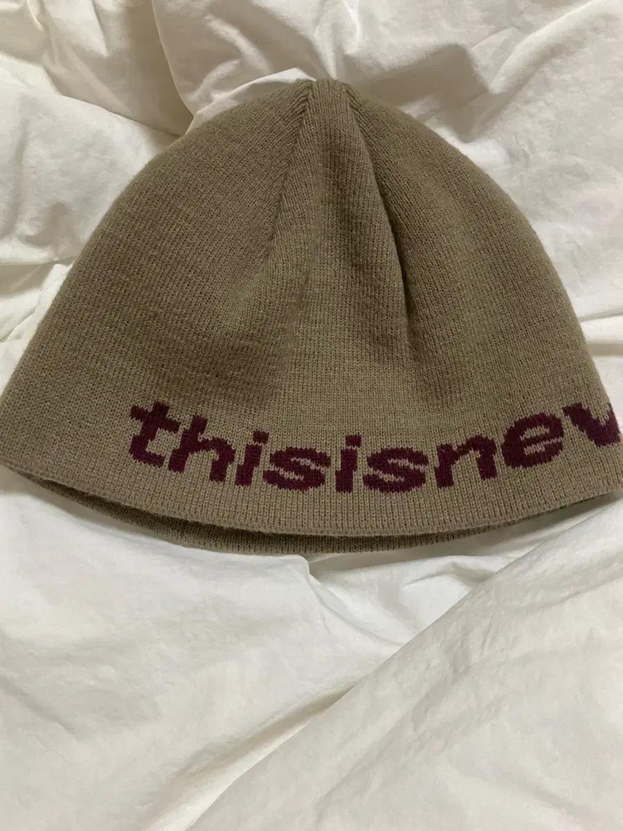 디스이즈네버댓 비니