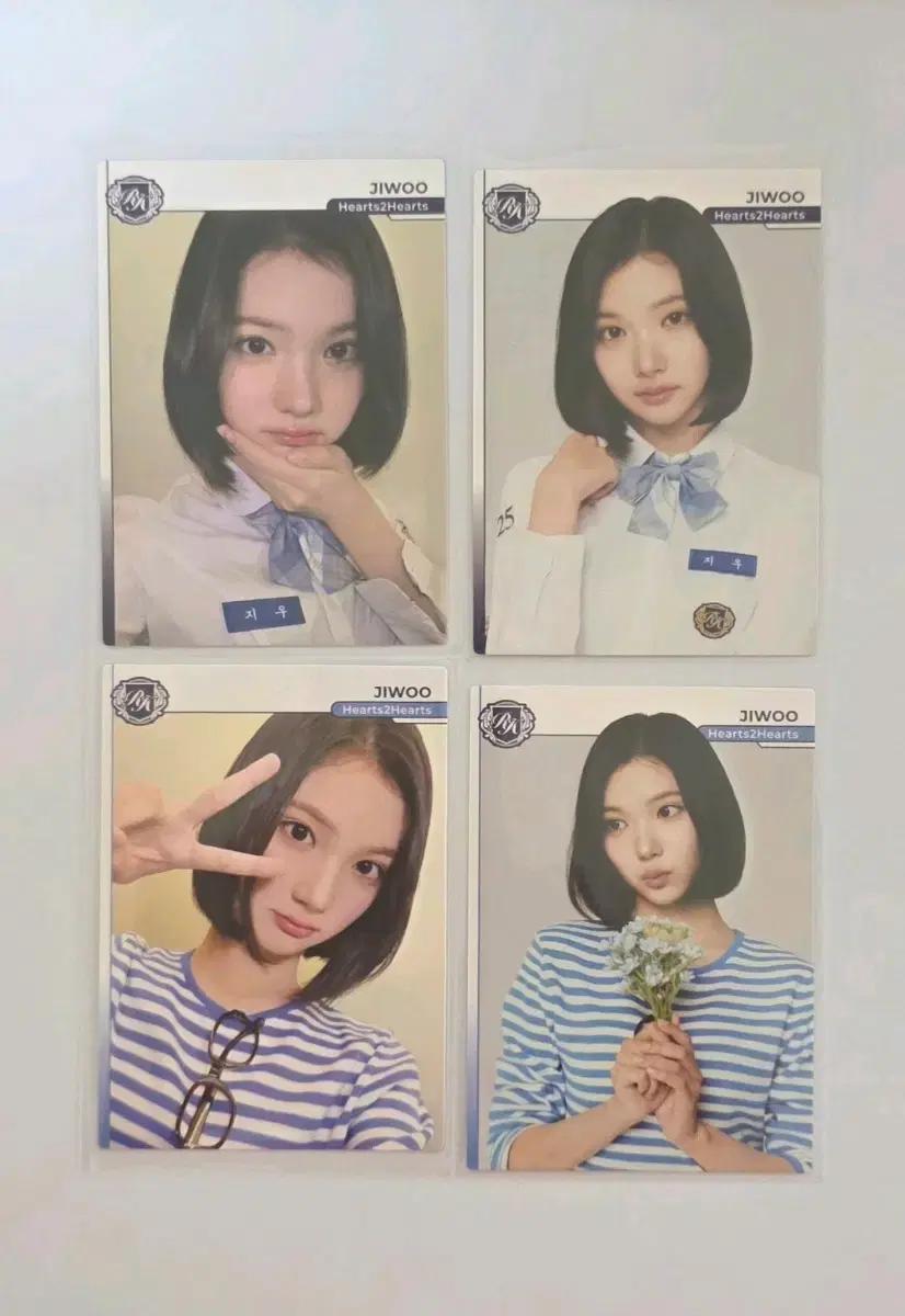 2025 테레카 하투하 지우 베이스4종 포토카드