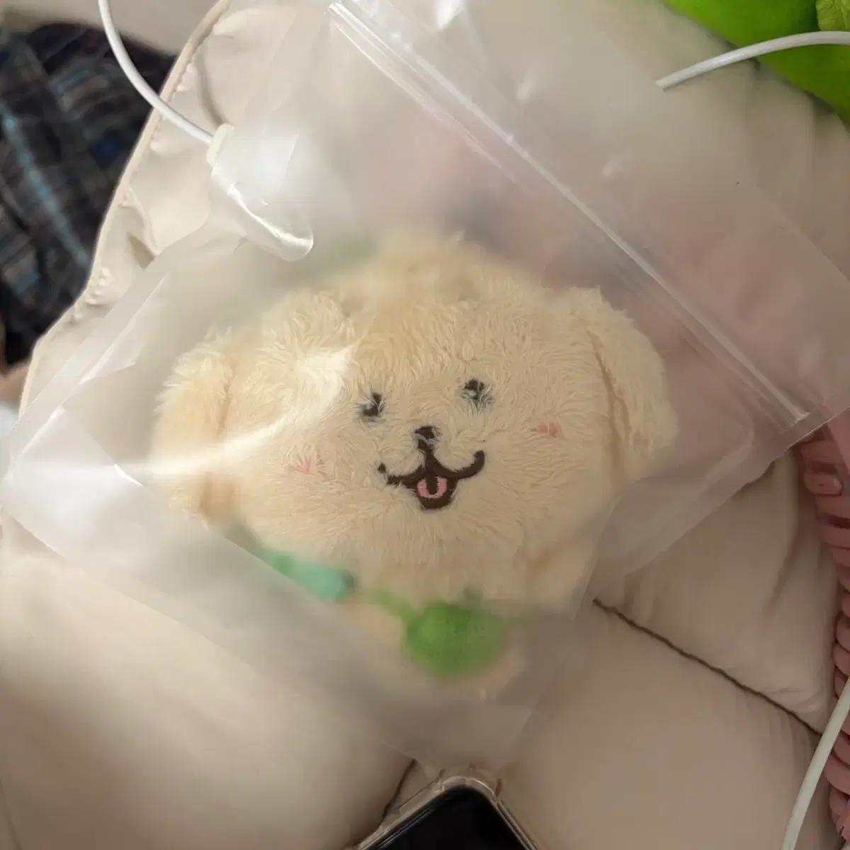 엔시티 위시 위시돌 댕트리버 팝니다