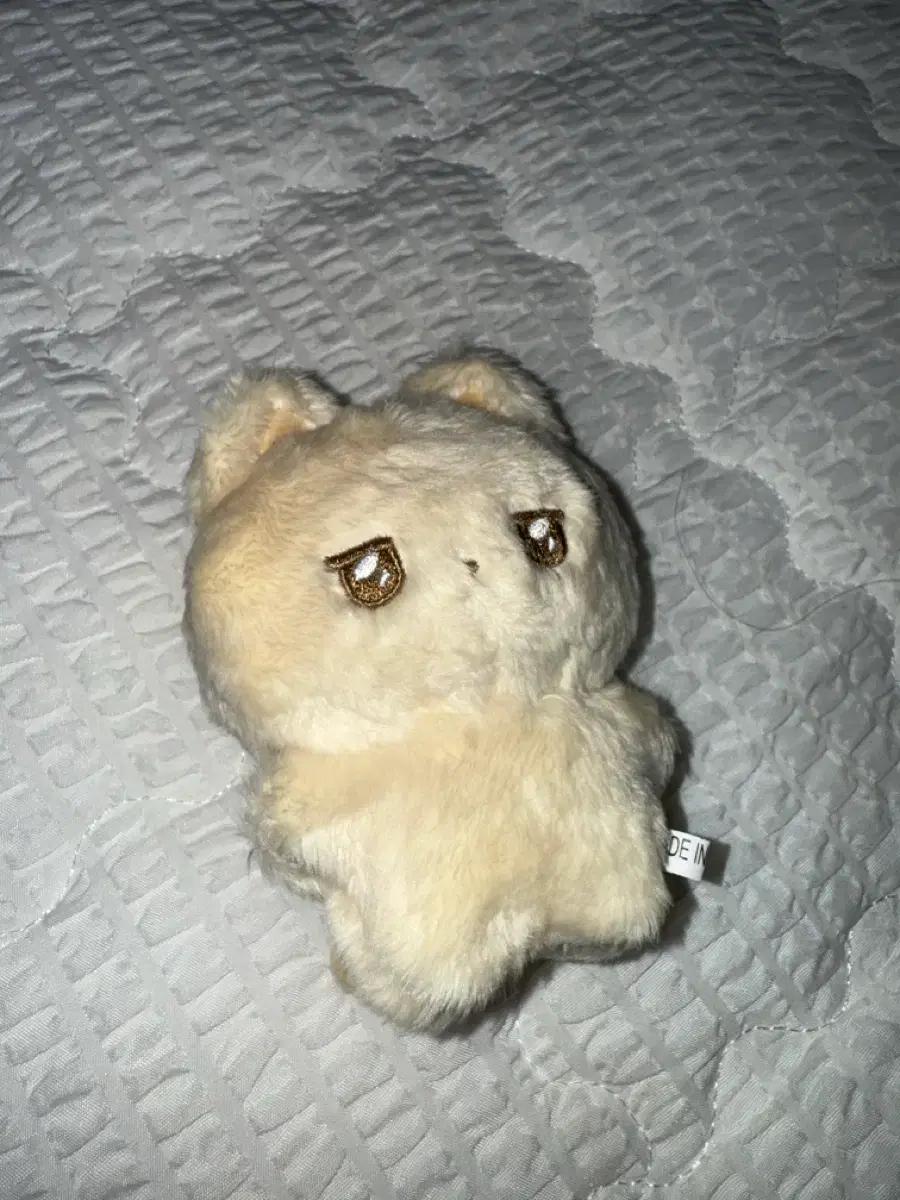 엔시티 위시 위니멀즈 우시짱