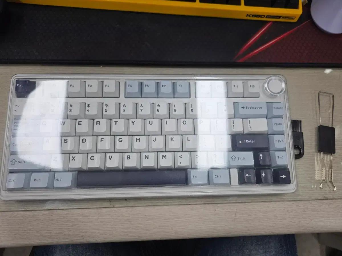 독거미 F75 aula 경해축