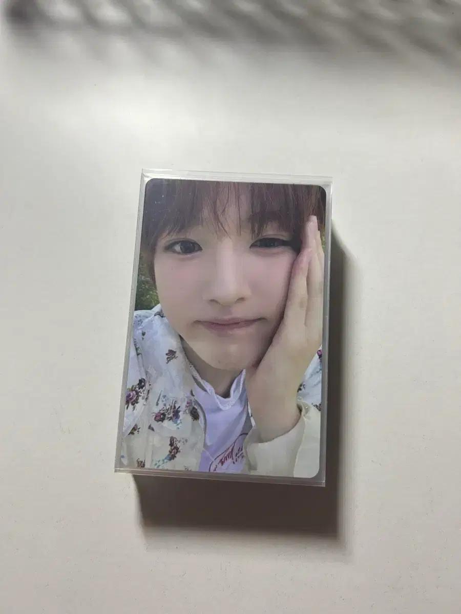 (탈덕처분) 엔시티위시 포카 일괄 판매