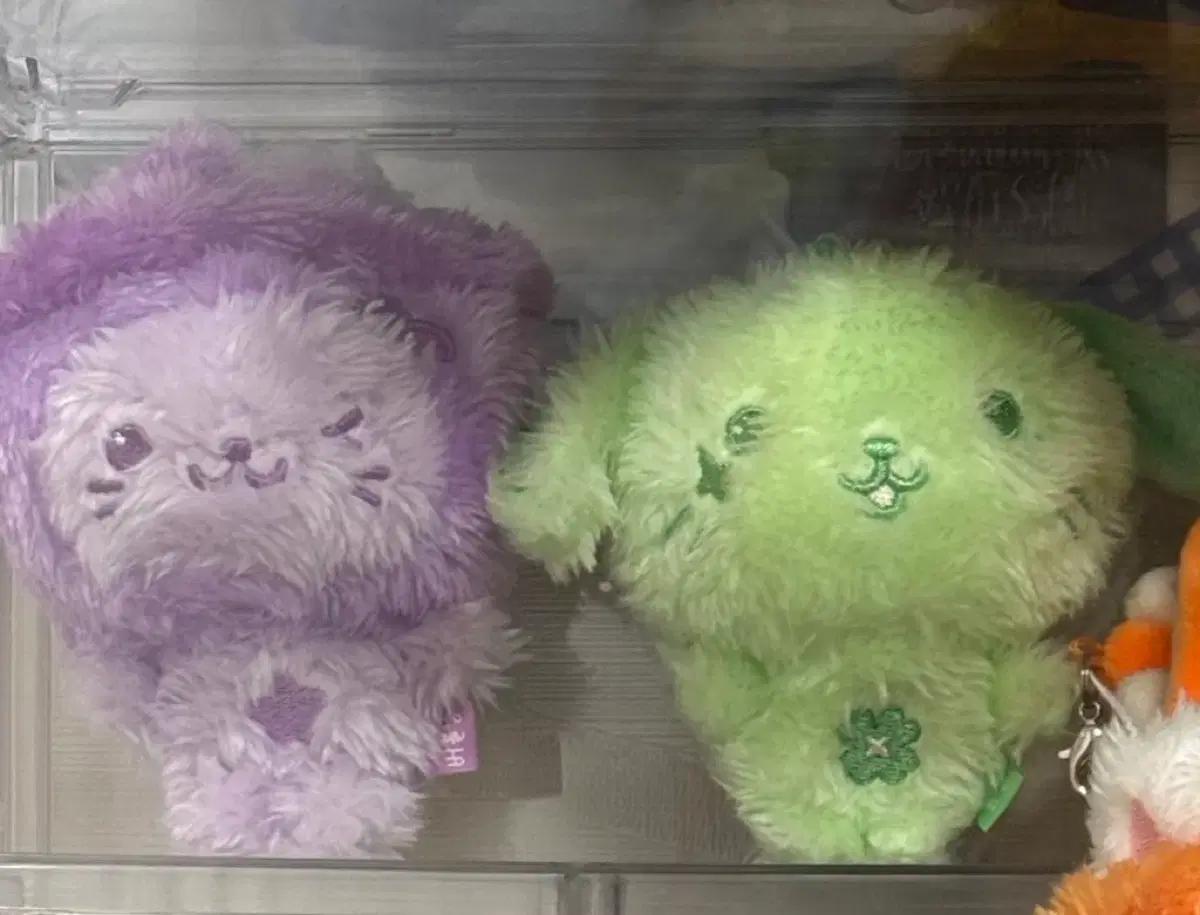 엔시티위시 컬러돌 위시돌 버블냥 단순개봉