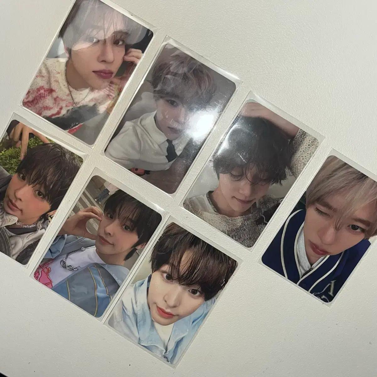 엔시티위시 시온 리쿠 포카 일괄